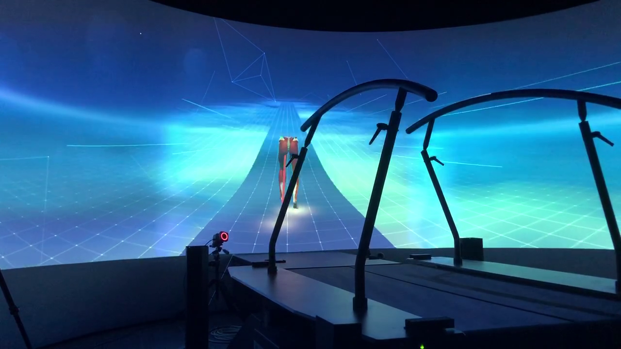 GAIT Assessment gameplay image 4