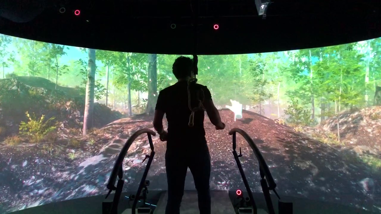 Forest Road gameplay image 5